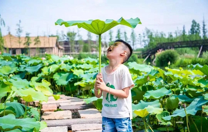 微信图片_20200530201724.jpg